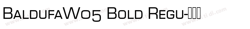 BaldufaW05 Bold Regu字体转换